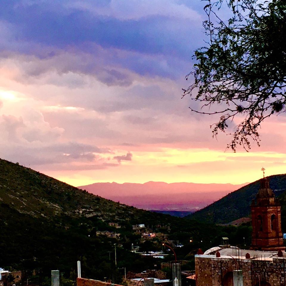 Vista en la tarde Vista en la tarde